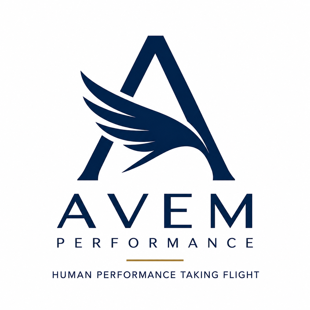AVEM Performance